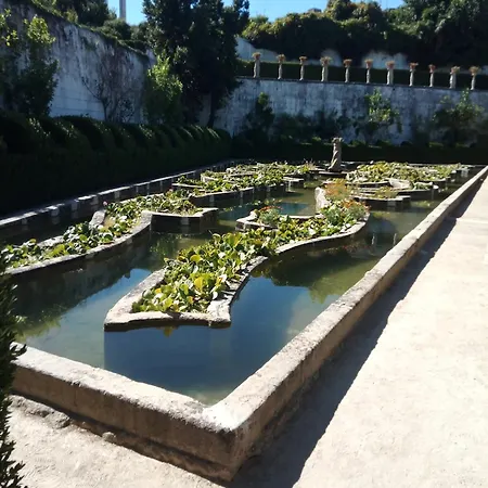 Center * Castelo Branco (Centro)