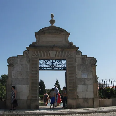 Center *
