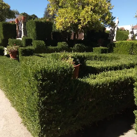 Appartamento Center Castelo Branco (Centro)