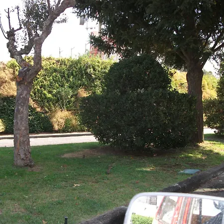 Center Castelo Branco (Centro)