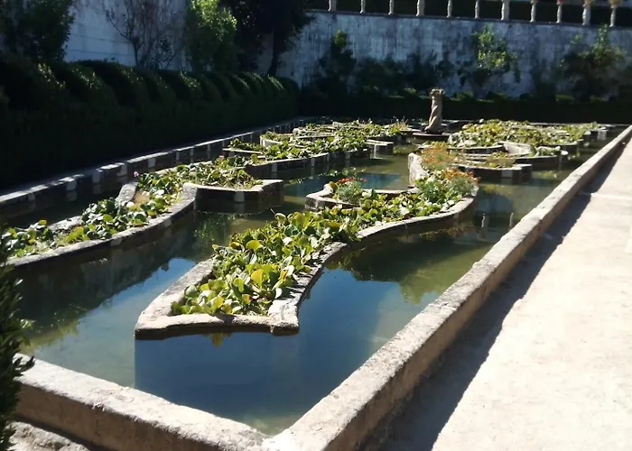 Center * Castelo Branco (Centro)