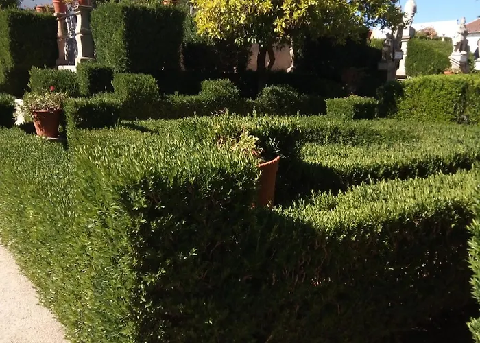 Apartamento Center Castelo Branco (Centro)