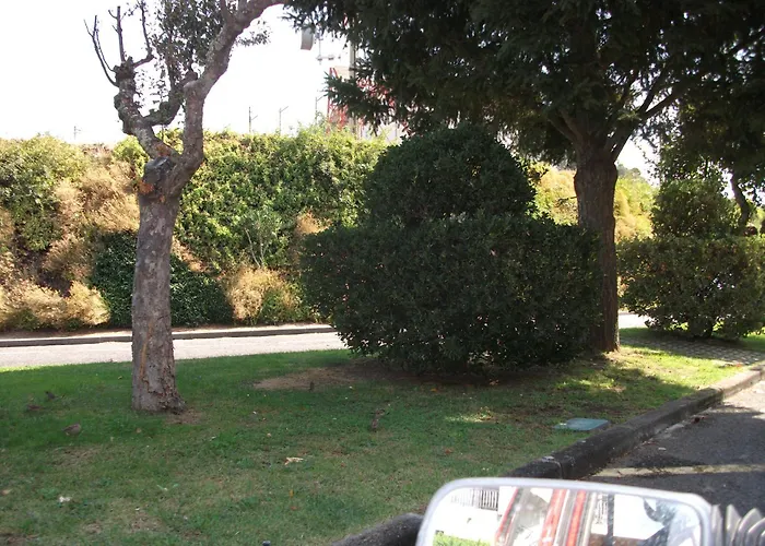 Center Castelo Branco (Centro)